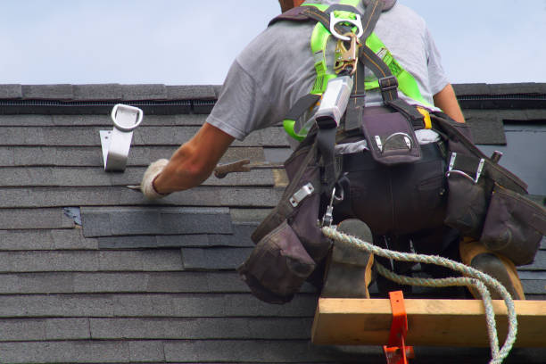 Professional Roofing Contractor in Todd Creek, CO