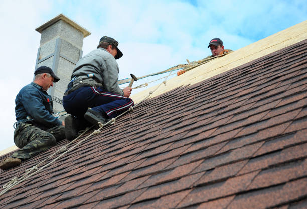 Quick and Trustworthy Emergency Roof Repair Services in Todd Creek, CO